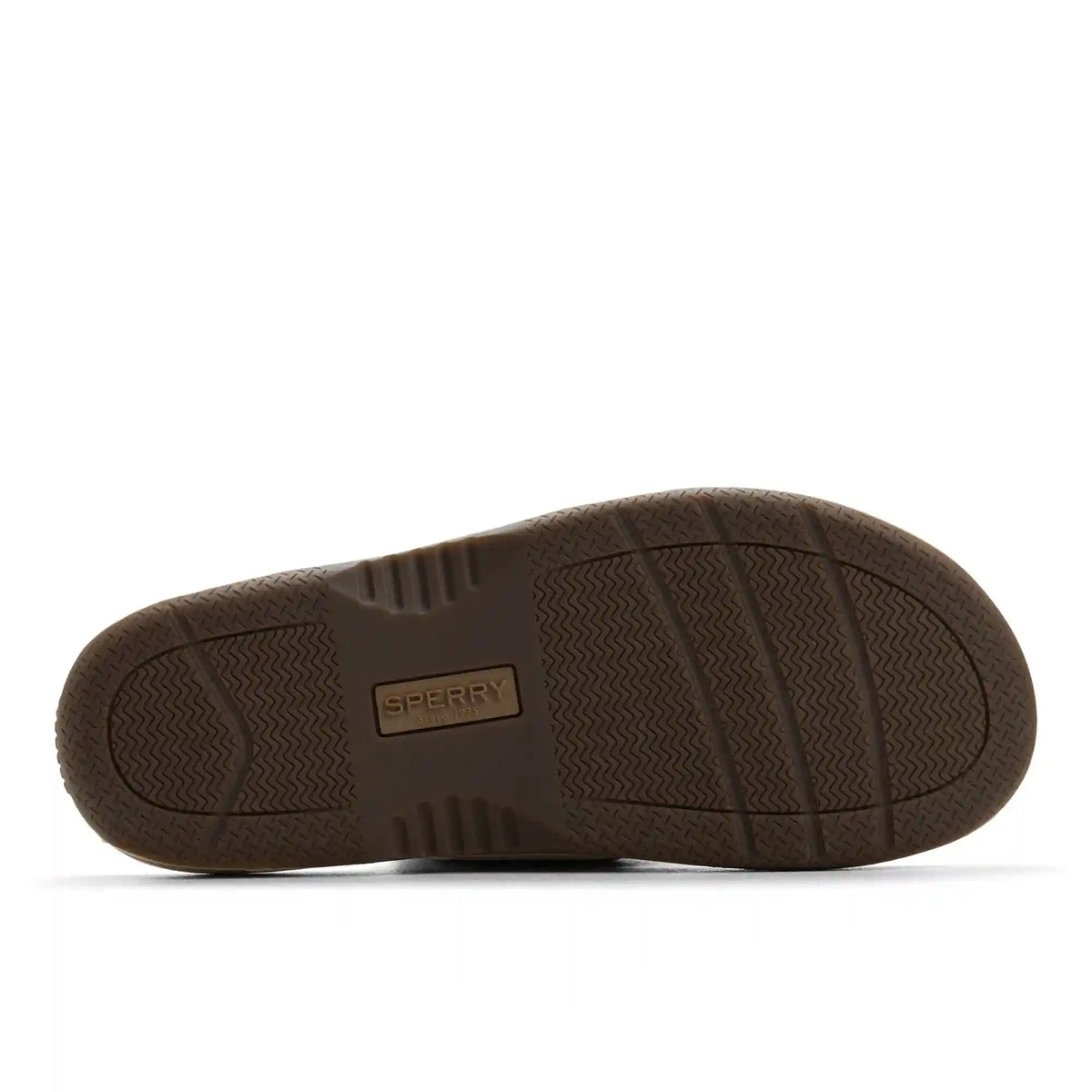 Baitfish Thong Sandal